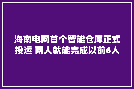海南电网首个智能仓库正式投运 两人就能完成以前6人工作量