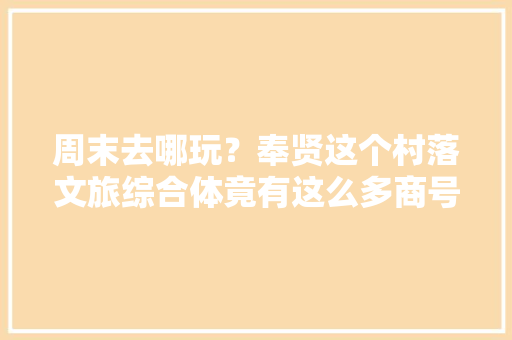 周末去哪玩？奉贤这个村落文旅综合体竟有这么多商号可以打卡→