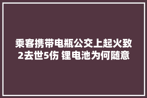 乘客携带电瓶公交上起火致2去世5伤 锂电池为何随意马虎自燃