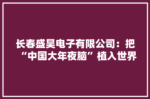长春盛昊电子有限公司：把“中国大年夜脑”植入世界智能装备