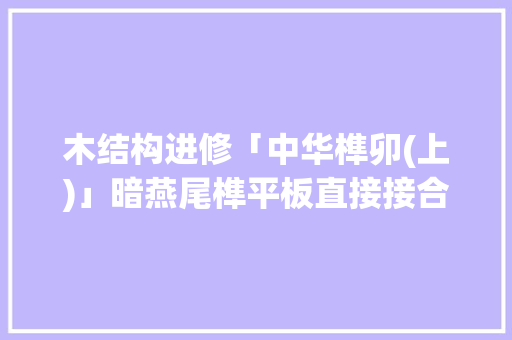 木结构进修「中华榫卯(上)」暗燕尾榫平板直接接合