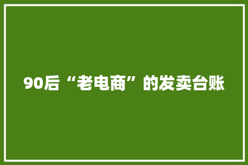 90后“老电商”的发卖台账