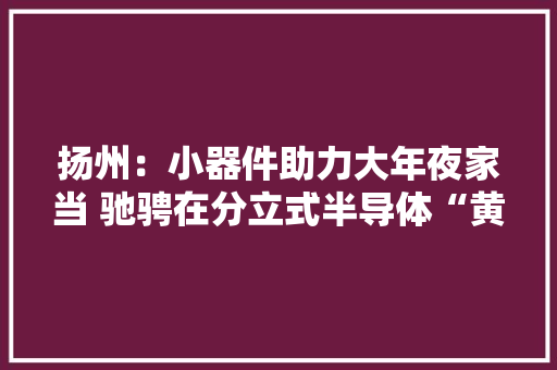 扬州：小器件助力大年夜家当 驰骋在分立式半导体“黄金赛道”上