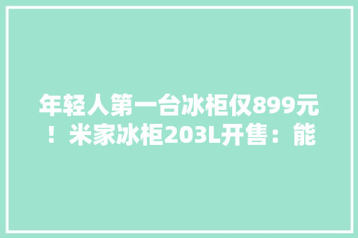 年轻人第一台冰柜仅899元！米家冰柜203L开售：能装170斤肉