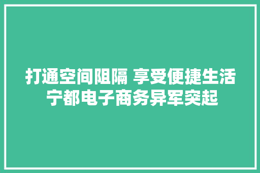 打通空间阻隔 享受便捷生活 宁都电子商务异军突起