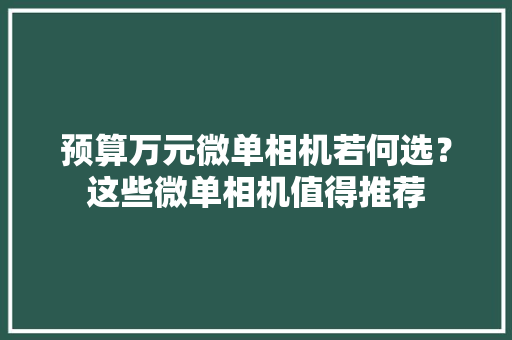 预算万元微单相机若何选？这些微单相机值得推荐