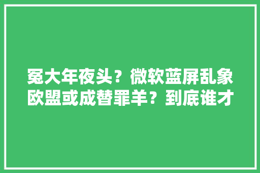 冤大年夜头？微软蓝屏乱象欧盟或成替罪羊？到底谁才是祸首祸首？
