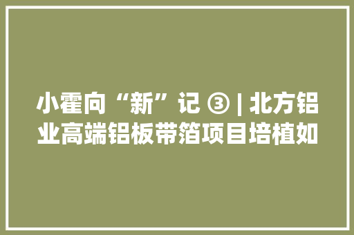 小霍向“新”记 ③ | 北方铝业高端铝板带箔项目培植如火如荼 估量七月份试分娩