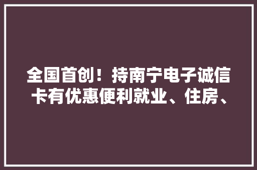 全国首创！持南宁电子诚信卡有优惠便利就业、住房、创业等给予支持