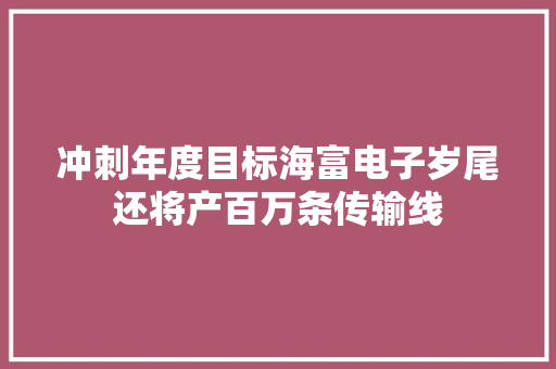 冲刺年度目标海富电子岁尾还将产百万条传输线