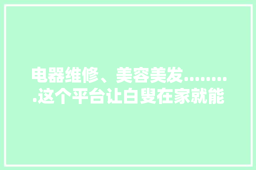 电器维修、美容美发.........这个平台让白叟在家就能享受做事