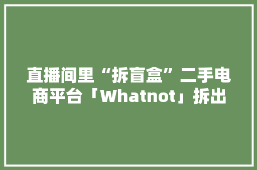 直播间里“拆盲盒”二手电商平台「Whatnot」拆出15亿美元
