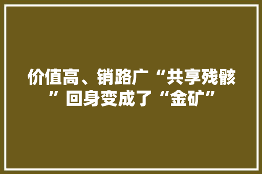 价值高、销路广“共享残骸”回身变成了“金矿”