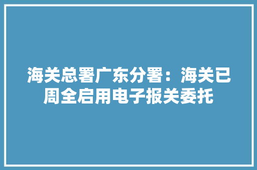 海关总署广东分署：海关已周全启用电子报关委托