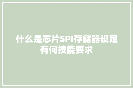 什么是芯片SPI存储器设定有何技能要求
