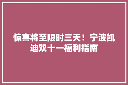 惊喜将至限时三天！宁波凯迪双十一福利指南