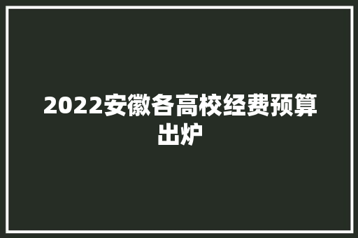 2022安徽各高校经费预算出炉