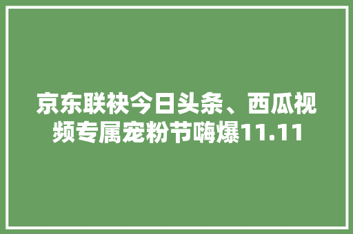 京东联袂今日头条、西瓜视频专属宠粉节嗨爆11.11