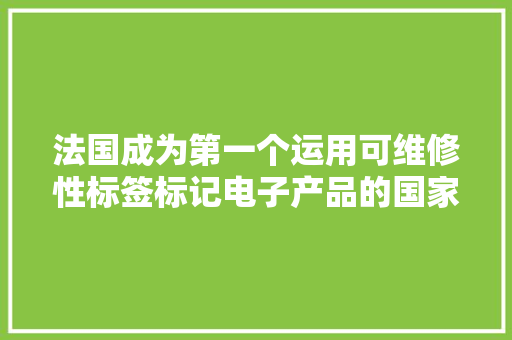 法国成为第一个运用可维修性标签标记电子产品的国家