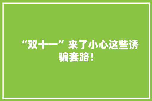 “双十一”来了小心这些诱骗套路！