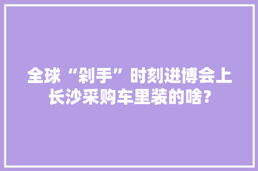 全球“剁手”时刻进博会上长沙采购车里装的啥？