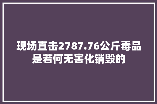 现场直击2787.76公斤毒品是若何无害化销毁的