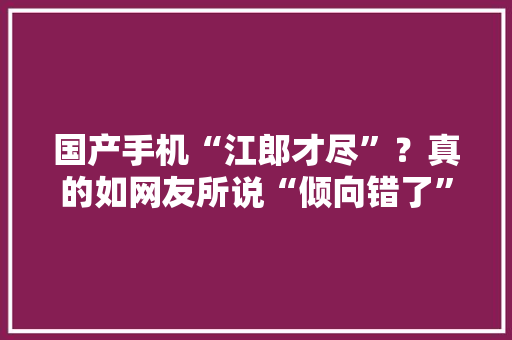 国产手机“江郎才尽”？真的如网友所说“倾向错了”？小白有谜底