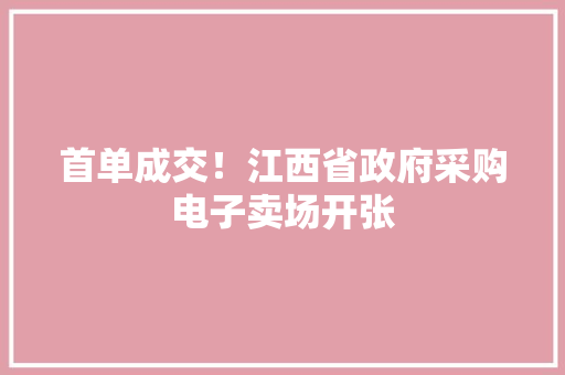 首单成交！江西省政府采购电子卖场开张