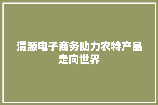 渭源电子商务助力农特产品走向世界