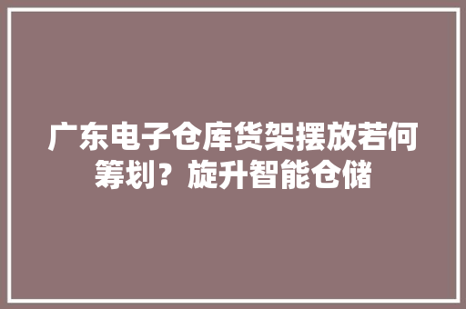 广东电子仓库货架摆放若何筹划？旋升智能仓储