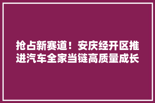 抢占新赛道！安庆经开区推进汽车全家当链高质量成长