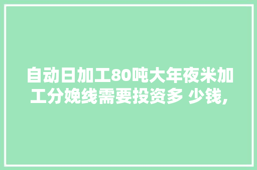 自动日加工80吨大年夜米加工分娩线需要投资多 少钱,,?各位小伙伴们