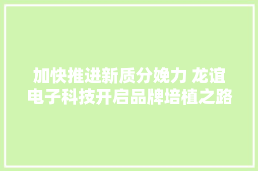 加快推进新质分娩力 龙谊电子科技开启品牌培植之路