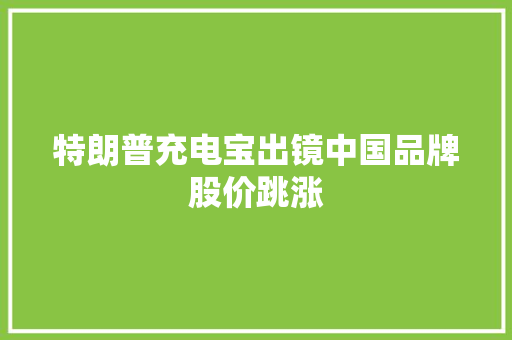 特朗普充电宝出镜中国品牌股价跳涨