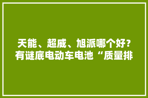 天能、超威、旭派哪个好？有谜底电动车电池“质量排行榜”出炉