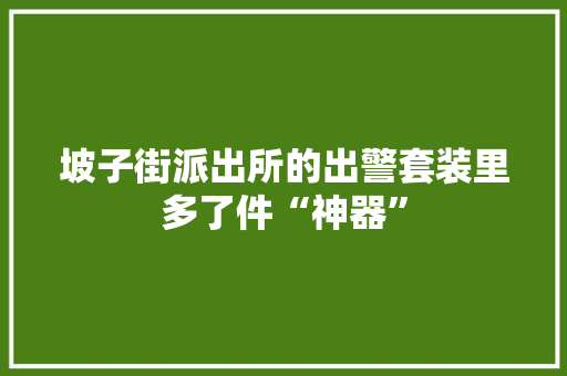 坡子街派出所的出警套装里多了件“神器”