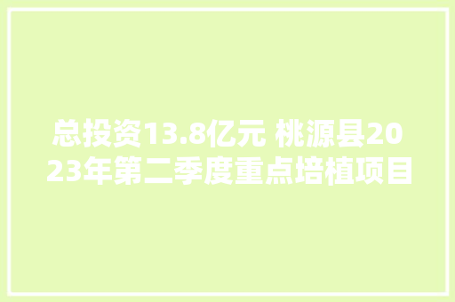 总投资13.8亿元 桃源县2023年第二季度重点培植项目集中开工