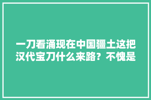 一刀看涌现在中国疆土这把汉代宝刀什么来路？不愧是中华第一刀