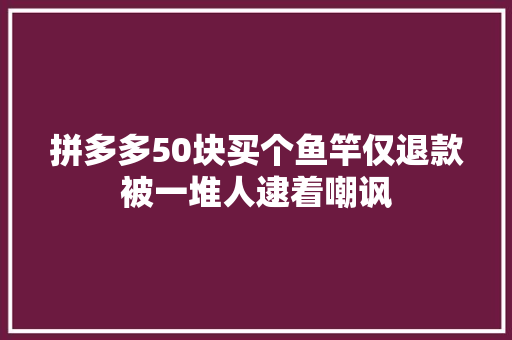 拼多多50块买个鱼竿仅退款被一堆人逮着嘲讽
