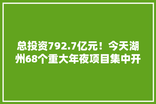 总投资792.7亿元！今天湖州68个重大年夜项目集中开工