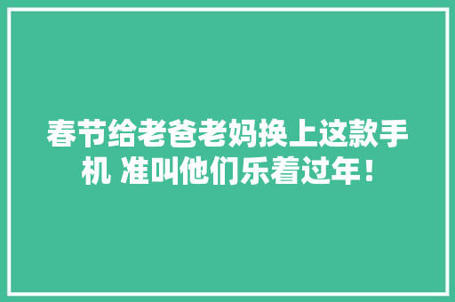 春节给老爸老妈换上这款手机 准叫他们乐着过年！