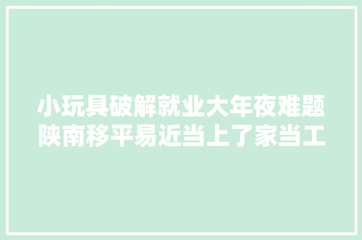 小玩具破解就业大年夜难题陕南移平易近当上了家当工人