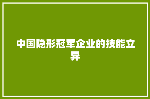 中国隐形冠军企业的技能立异