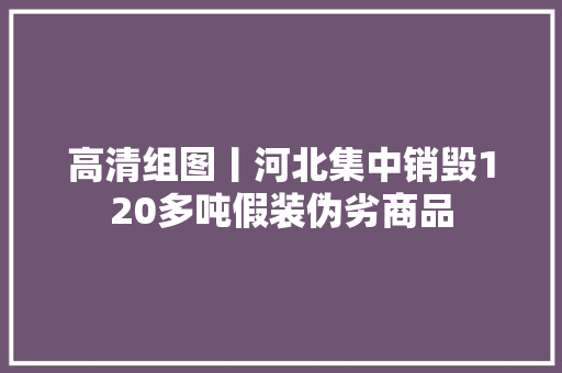 高清组图丨河北集中销毁120多吨假装伪劣商品