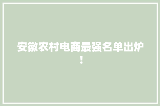 安徽农村电商最强名单出炉！
