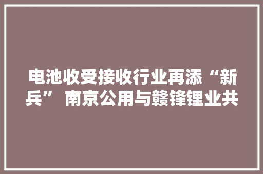 电池收受接收行业再添“新兵” 南京公用与赣锋锂业共建巨型项目 A股多家公司竞相构造