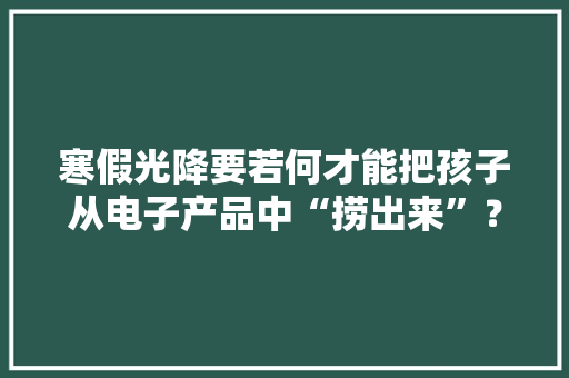 寒假光降要若何才能把孩子从电子产品中“捞出来”？！