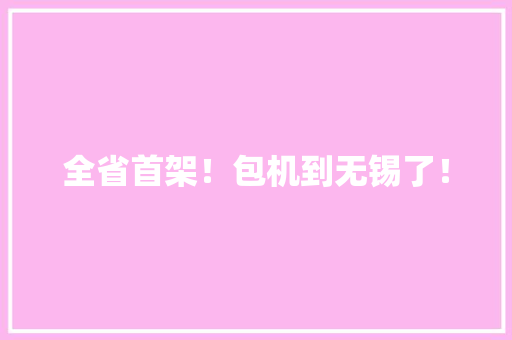 全省首架！包机到无锡了！