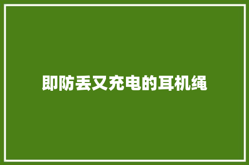 即防丢又充电的耳机绳