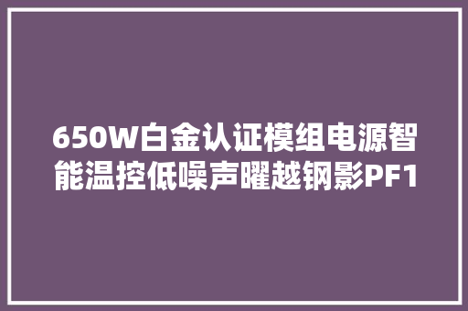 650W白金认证模组电源智能温控低噪声曜越钢影PF1测评